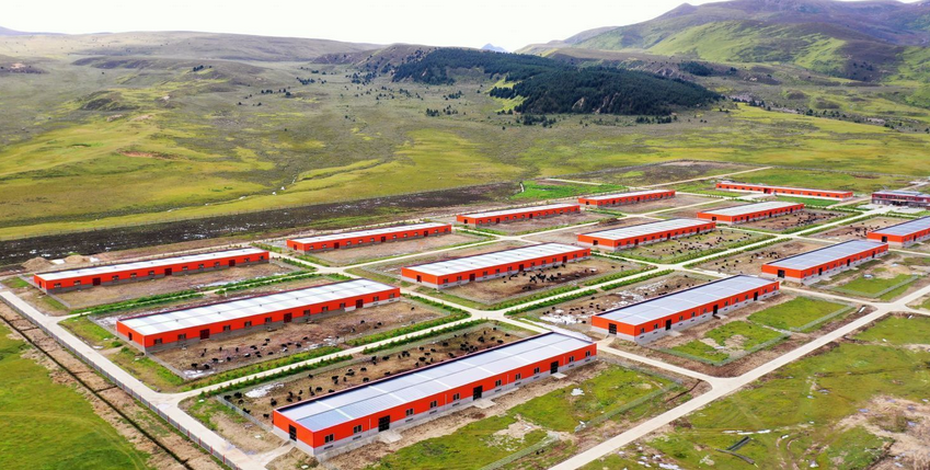 牦牛养殖项目建议书申请建设年存栏量20000头牦牛养殖基地