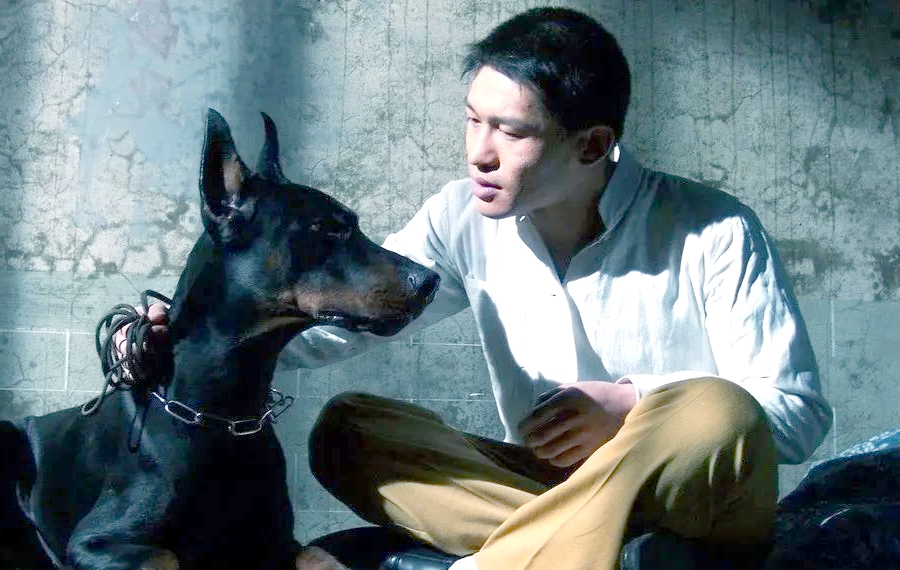 长江一号:谍战剧中的隐蔽英雄传奇