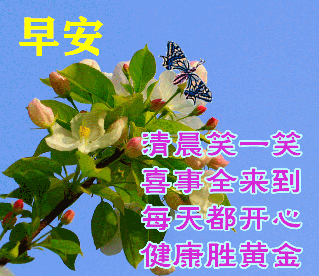 「早安馨语」人生几十年,相识就是缘