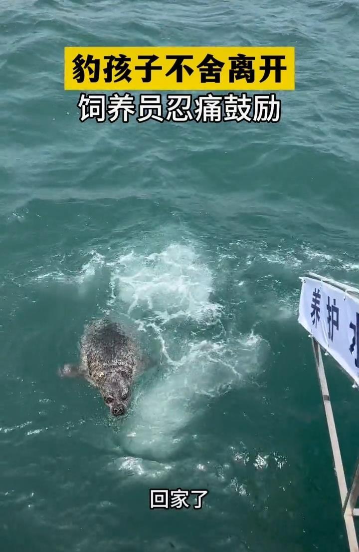 微信图片_2025-06-06_183434_833.jpg