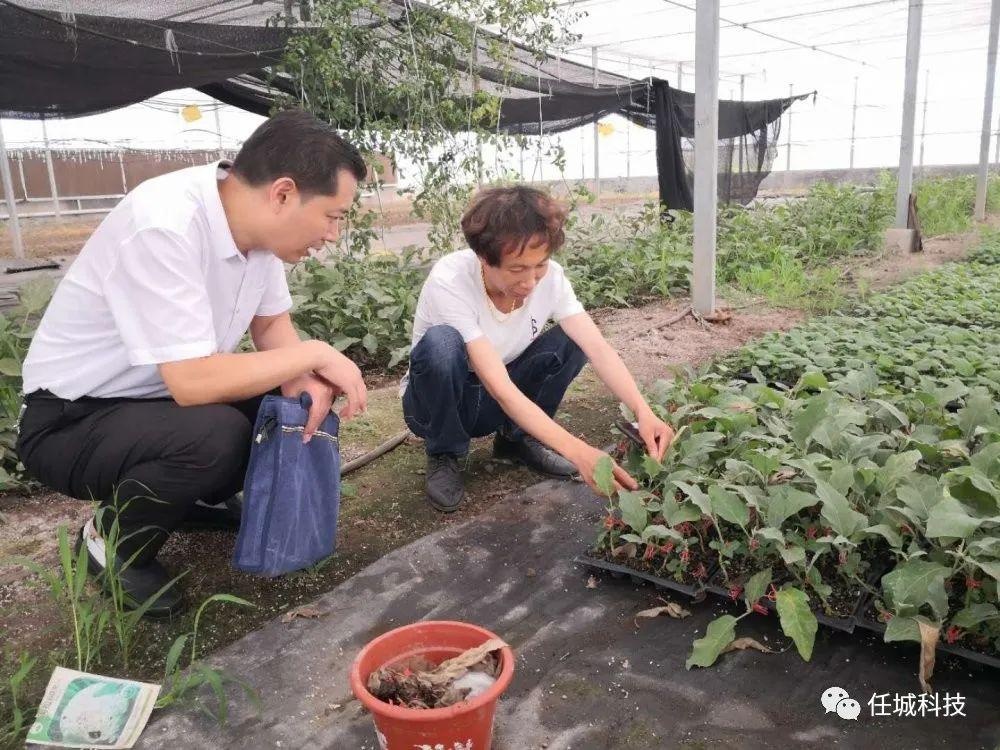 区科技局局长陆书华到农科驿站进行调研