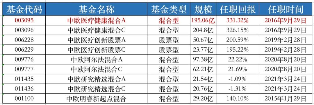 赵蓓个人简历图片