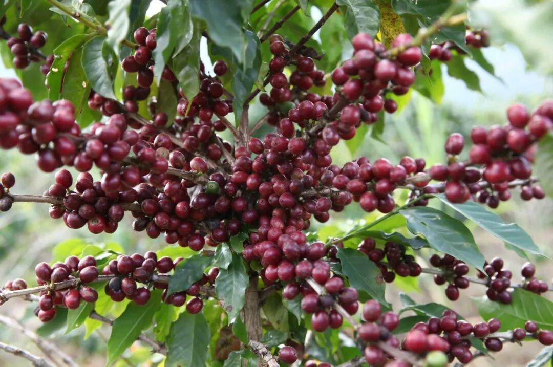 图片关键词 图片