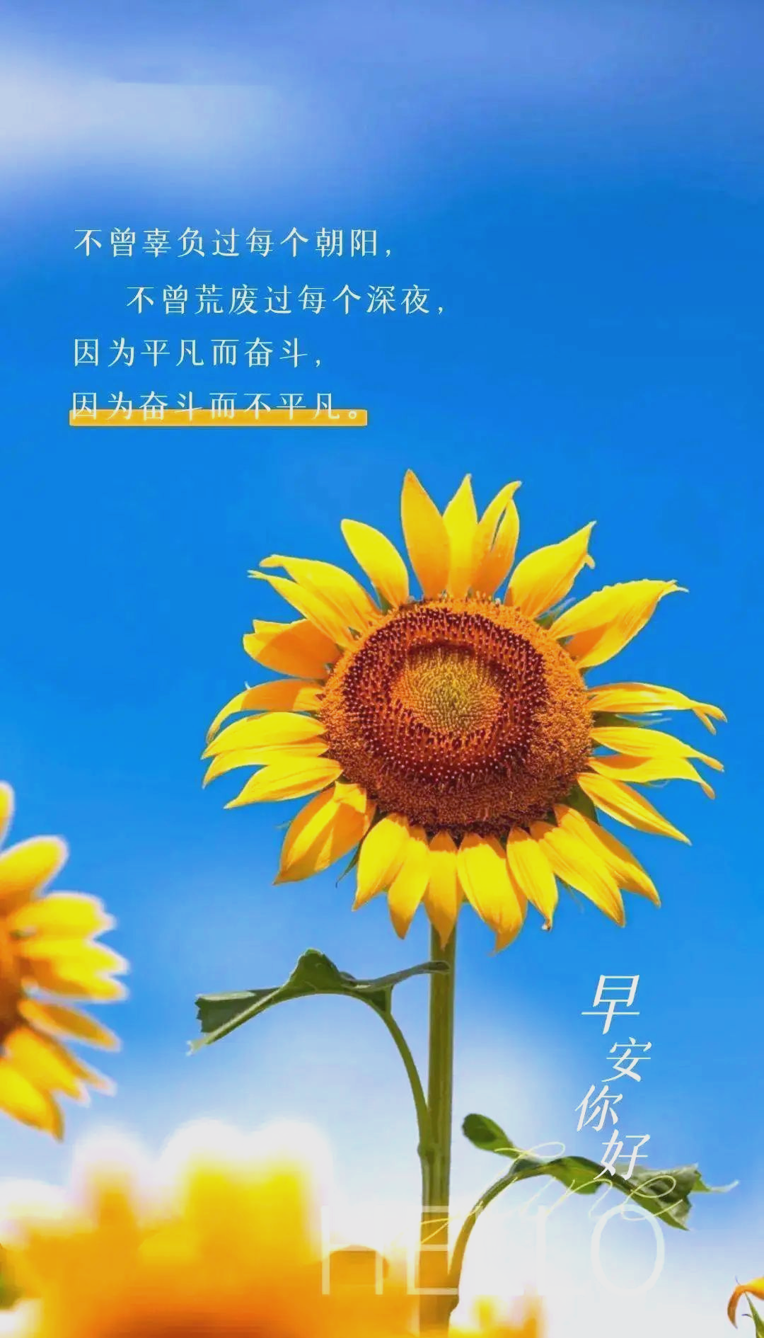 励志图正能量句子图片(励志图片正能量唯美 激励)