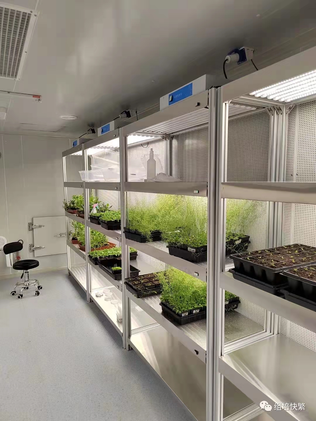 组培室常用的组培设备 组培仪器