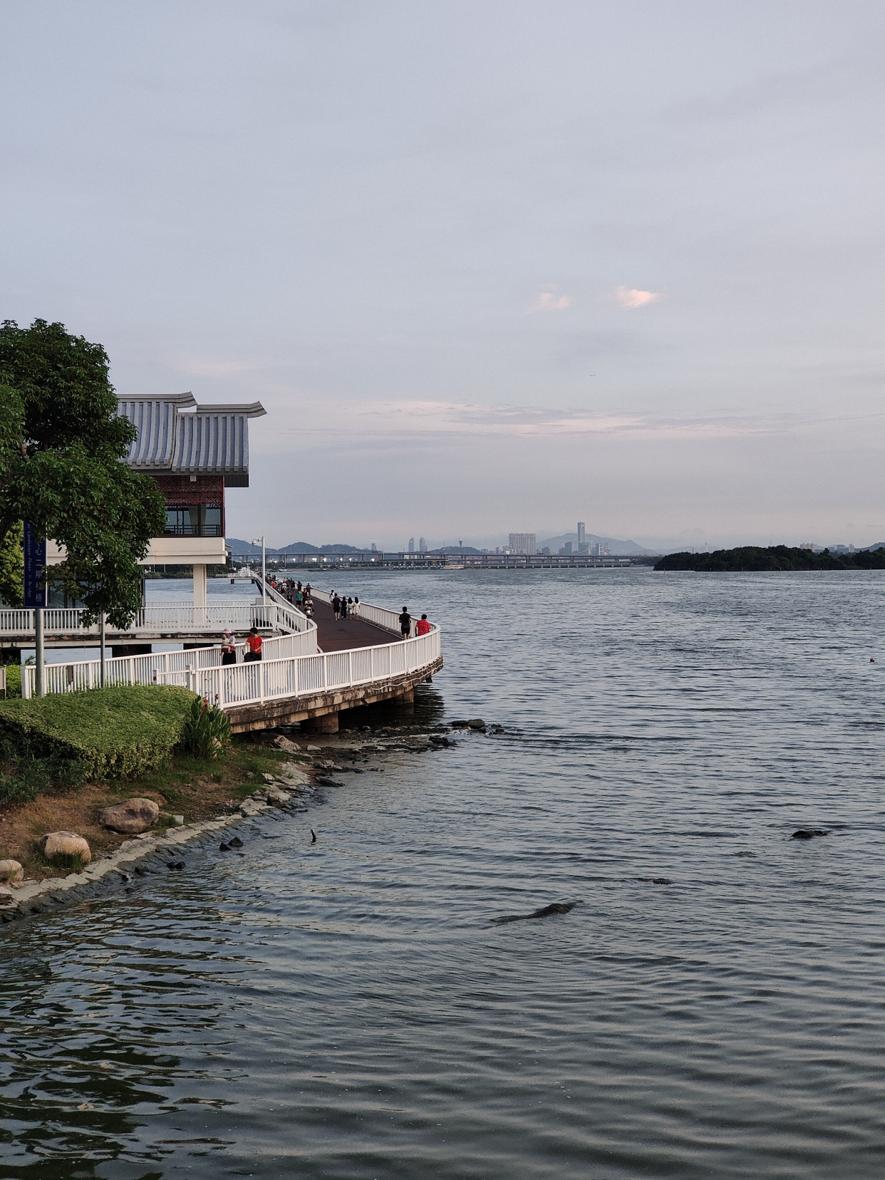 厦门岛外集美杏林湾一片景色极美