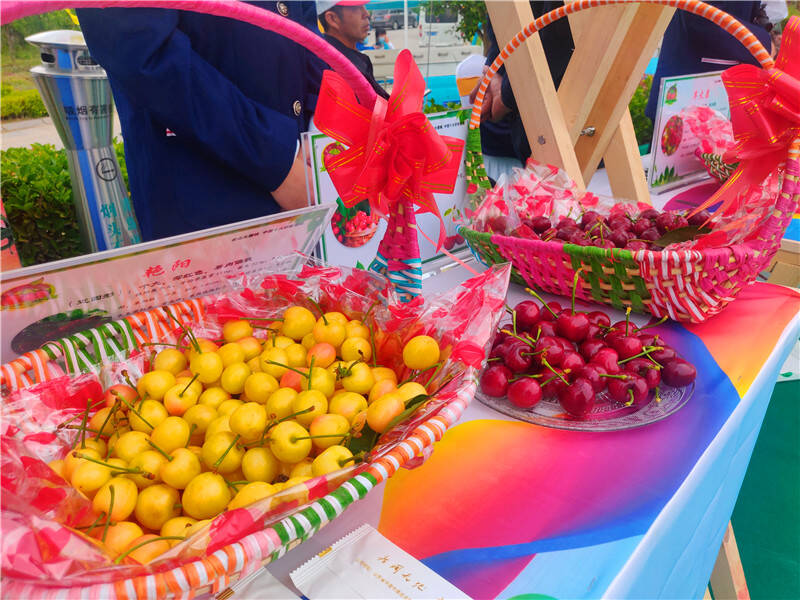 第二届中国大樱桃产业文化节暨首届青岛缤纷水果节在平度开幕
