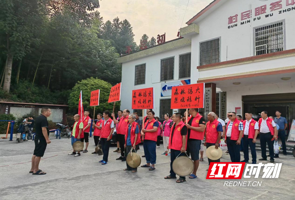 桃江县大栗港镇:锣声喧天响 森林防火宣传进万家