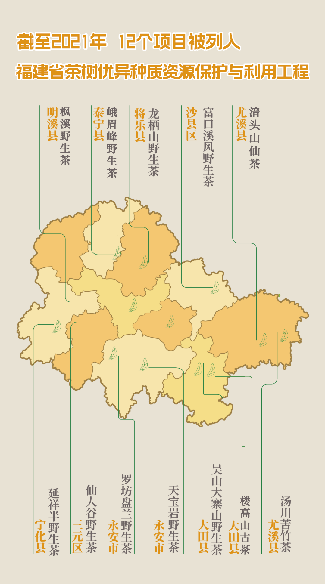 到中国绿都福建三明,品生态好茶