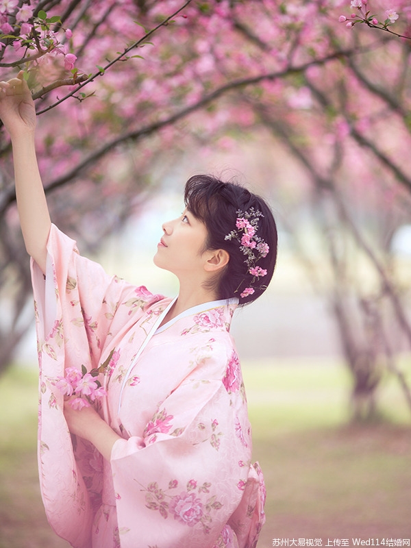 粉色和服美女樱花树下浪漫唯美写真,粉色樱花粉色衣服粉色头饰