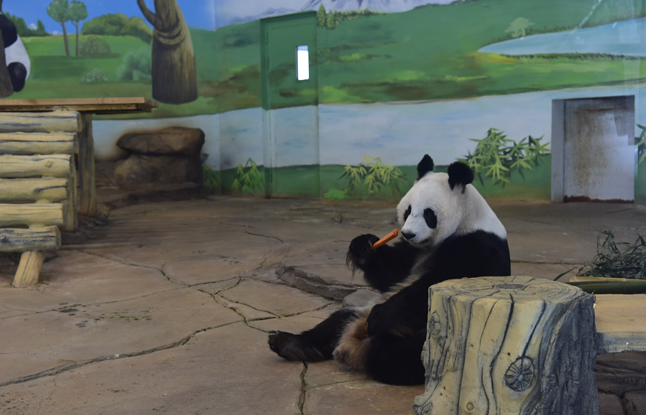 确保动物温暖过冬!鞍山动物园做好准备充分