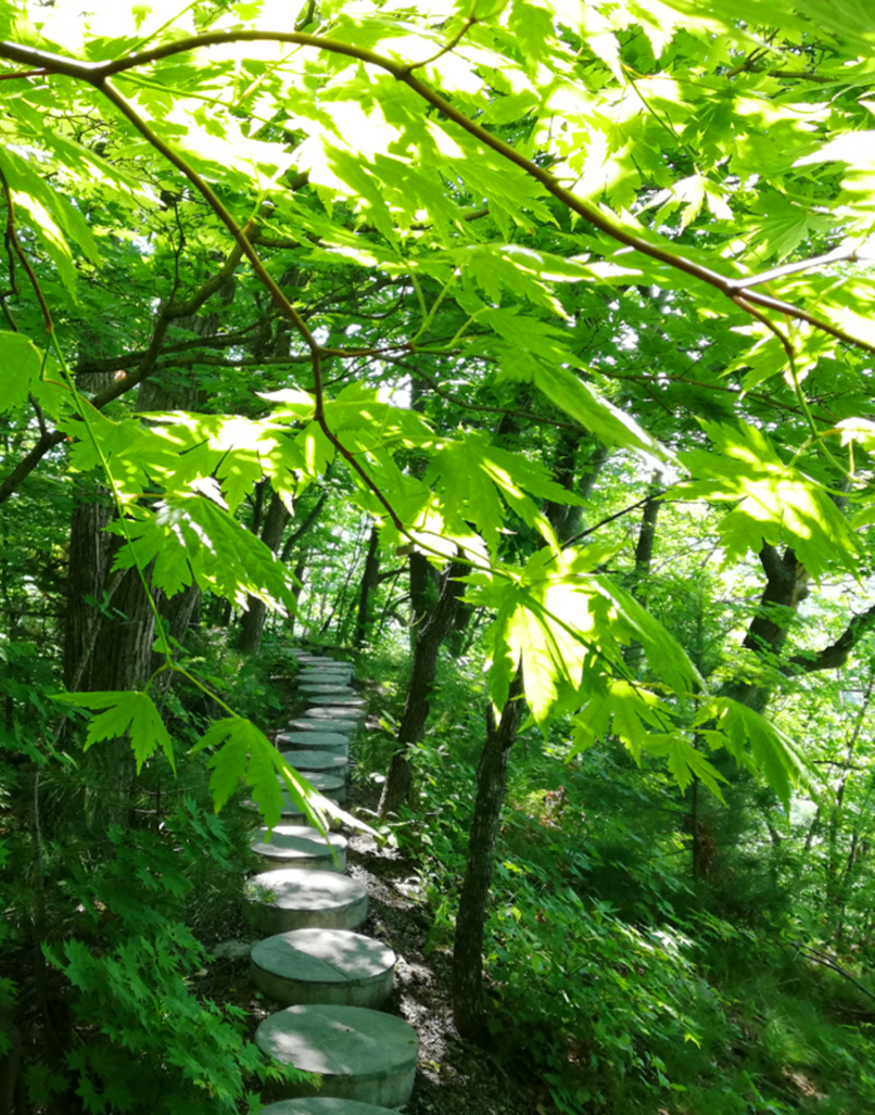 樺甸紅石國家森林公園的清涼大片來啦!