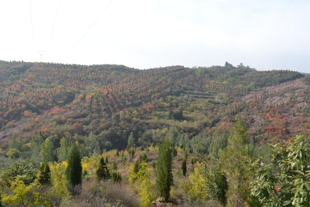 国土空间生态修复典型案例丨河南南太行地区山水林田湖草生态保护修复工程——济源市下冶煤铝土开采区矿山地质环境治理项目i自然全媒体2024-01-04 17:59i自然全媒体2024-01-04 17:59