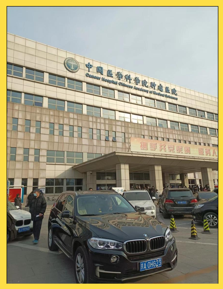 关于北京大学肿瘤医院预约检查陪诊挂号突发病情快速协助，及时就医诊疗的信息