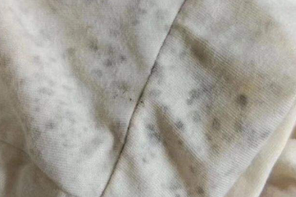 白色羽绒服发霉怎么洗掉霉斑