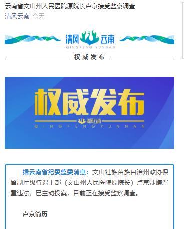 文山州人民医院原院长卢京接受监察调查