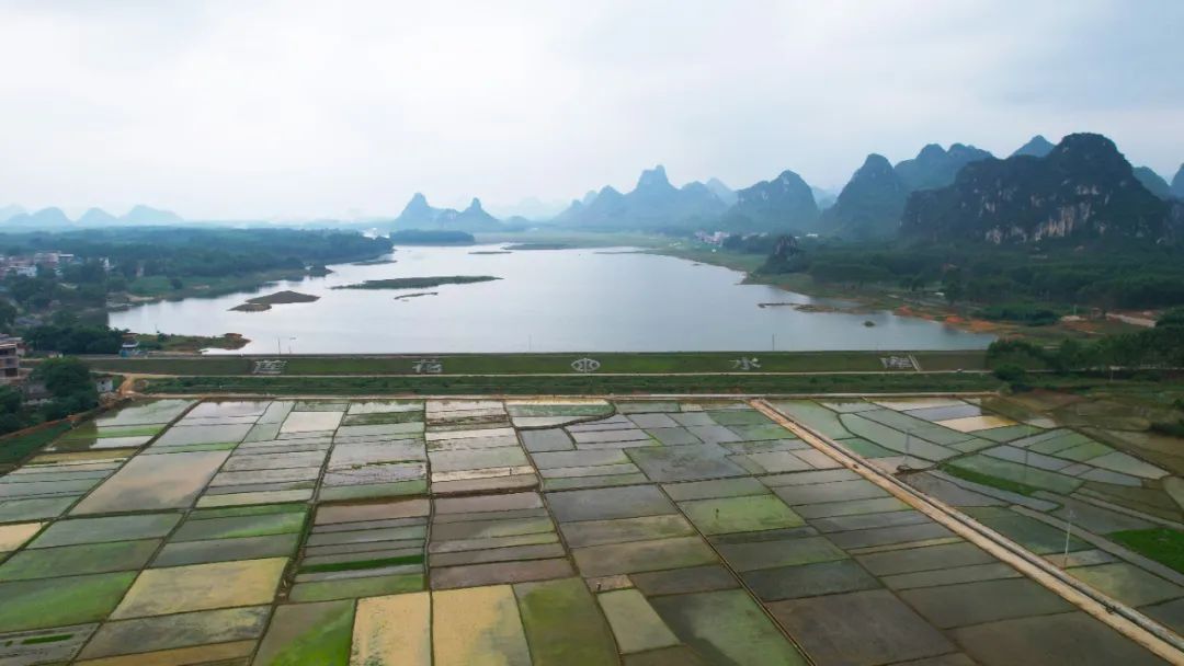 【奋进新征程 建功新时代·伟大变革】石牙镇:点"木"成金 赋能振兴