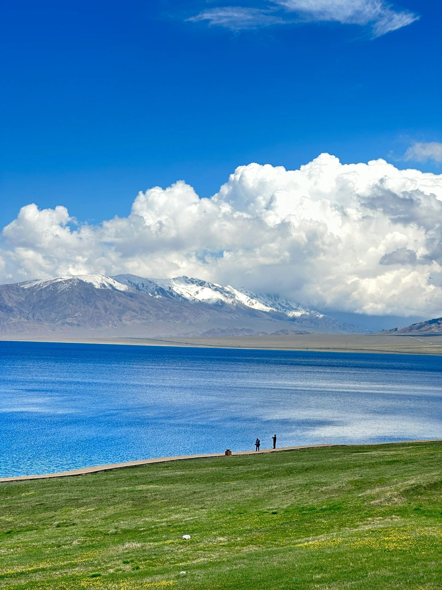 赛里木湖:碧波万顷,天鹅翩翩舞蹈,绝美动人的天堂景色!
