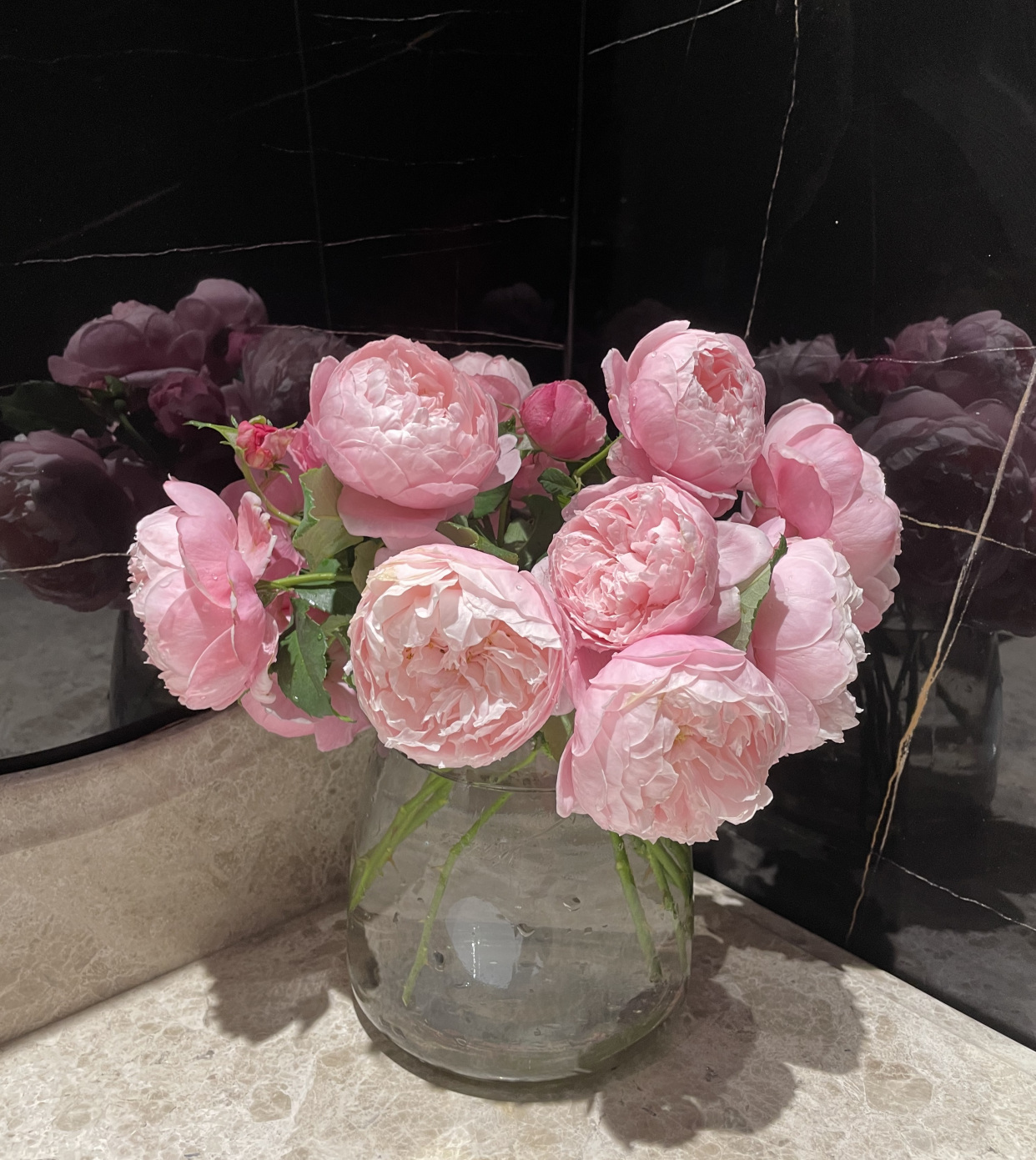 月季花界的"仙女"—羽毛,又美又仙,香气好闻,阳台也能养