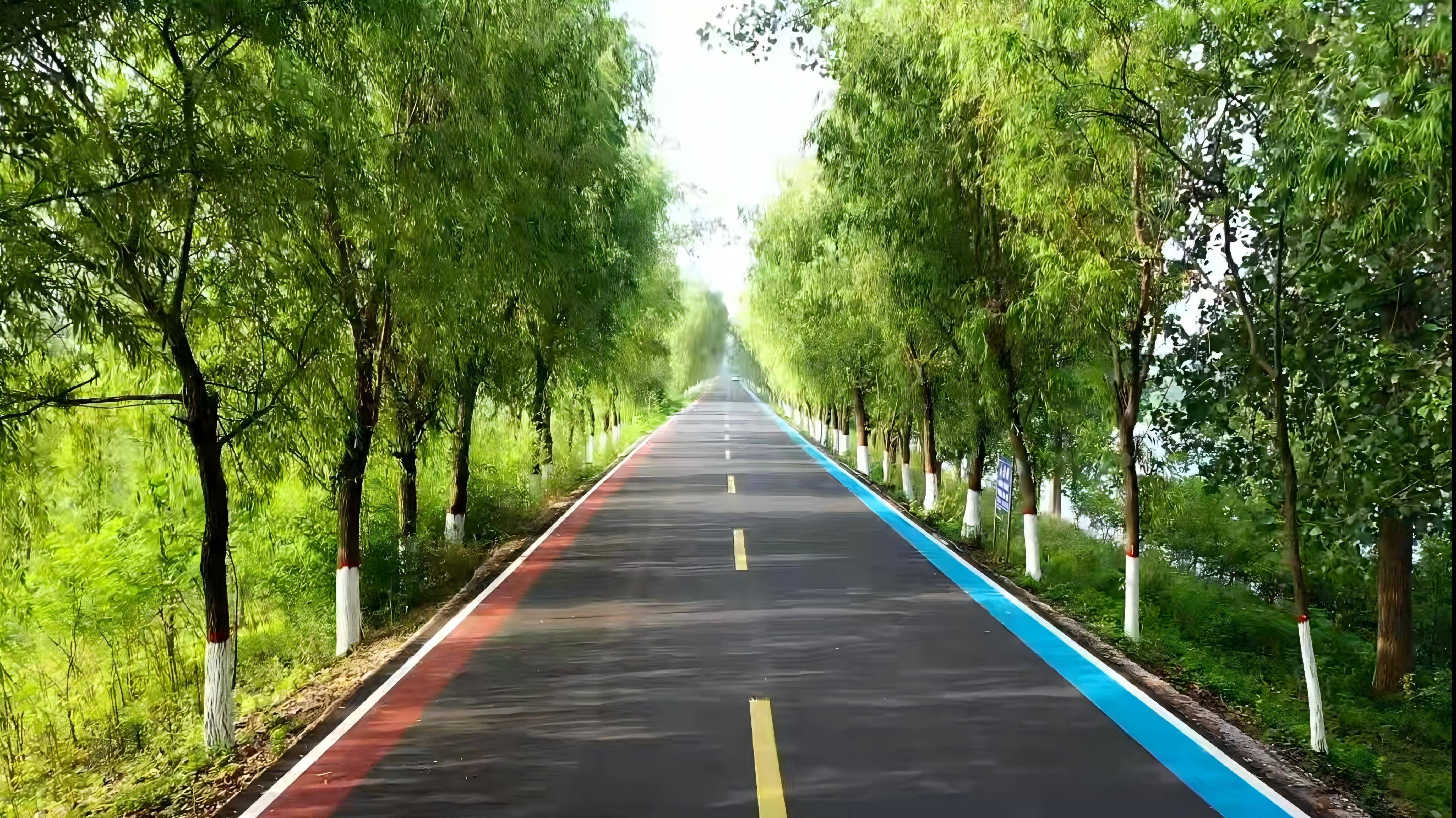 2024年度中国"十大最美农村路"公布,枣庄市台儿庄区"鲁风运河"古城