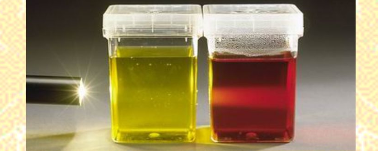 乳浊液和悬浊液的举例