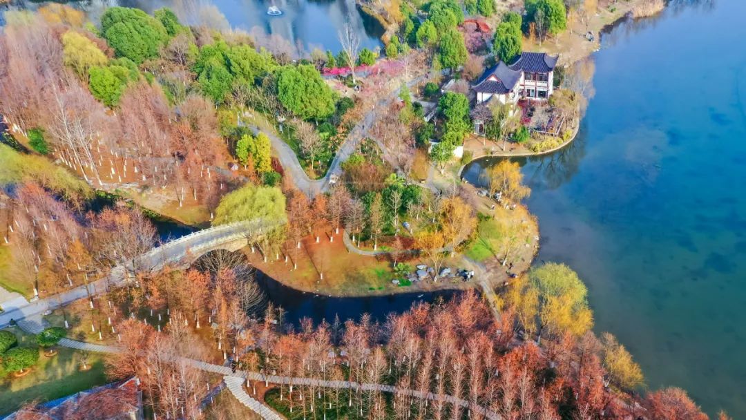 结果出炉今年也是精致的沙湖公园
