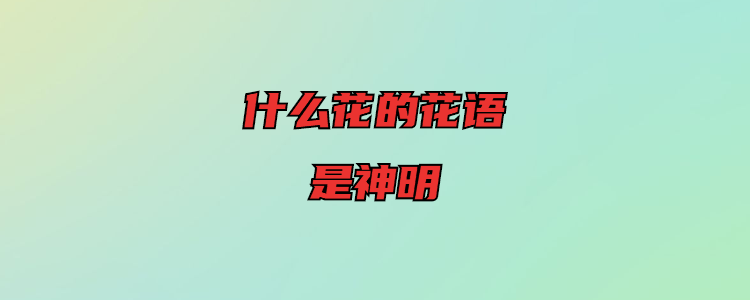 什么花的花语是神明(什么花的花语是神明?)