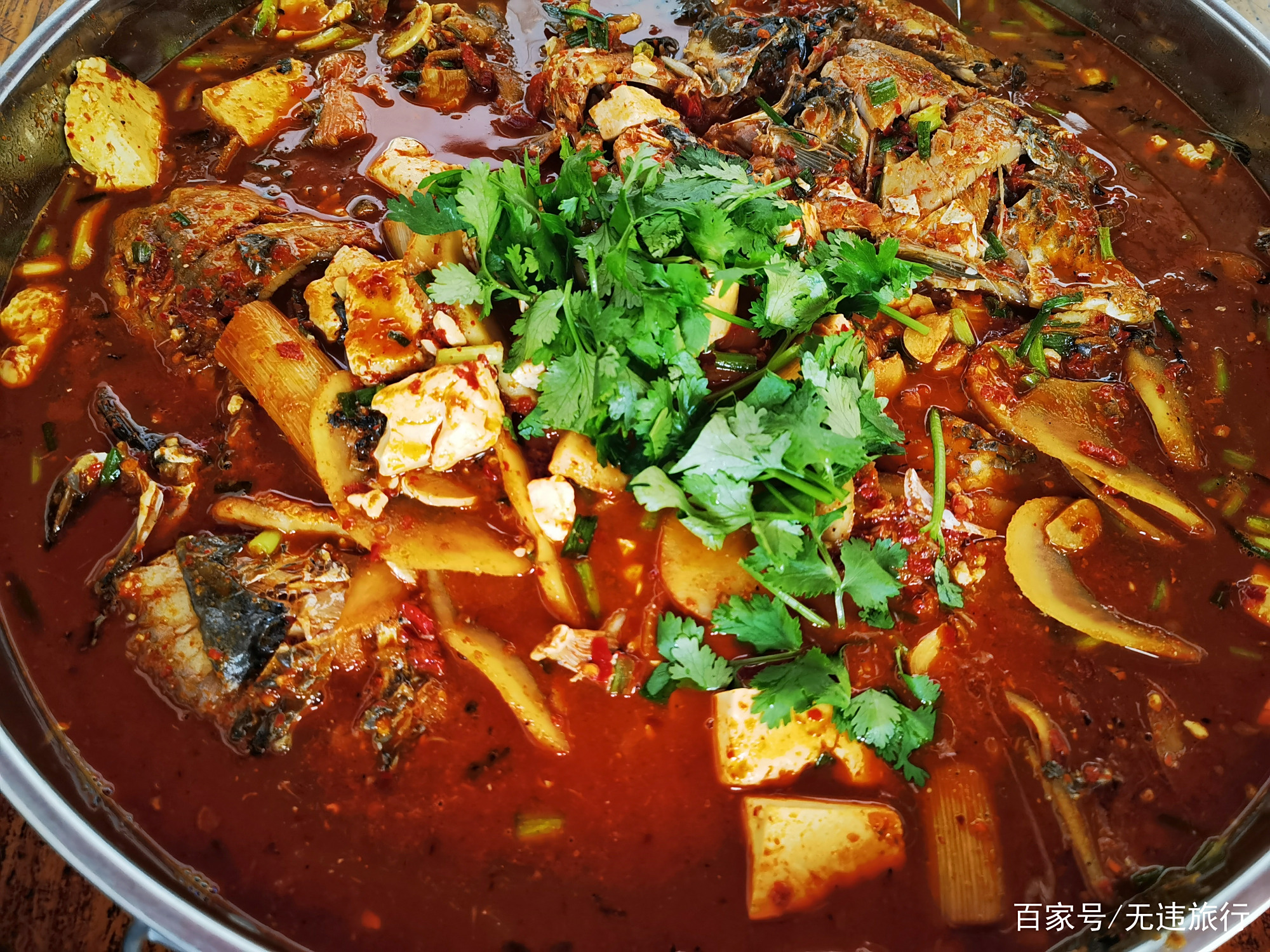 苍山旅游美食攻略(苍山旅游攻略必去景点)