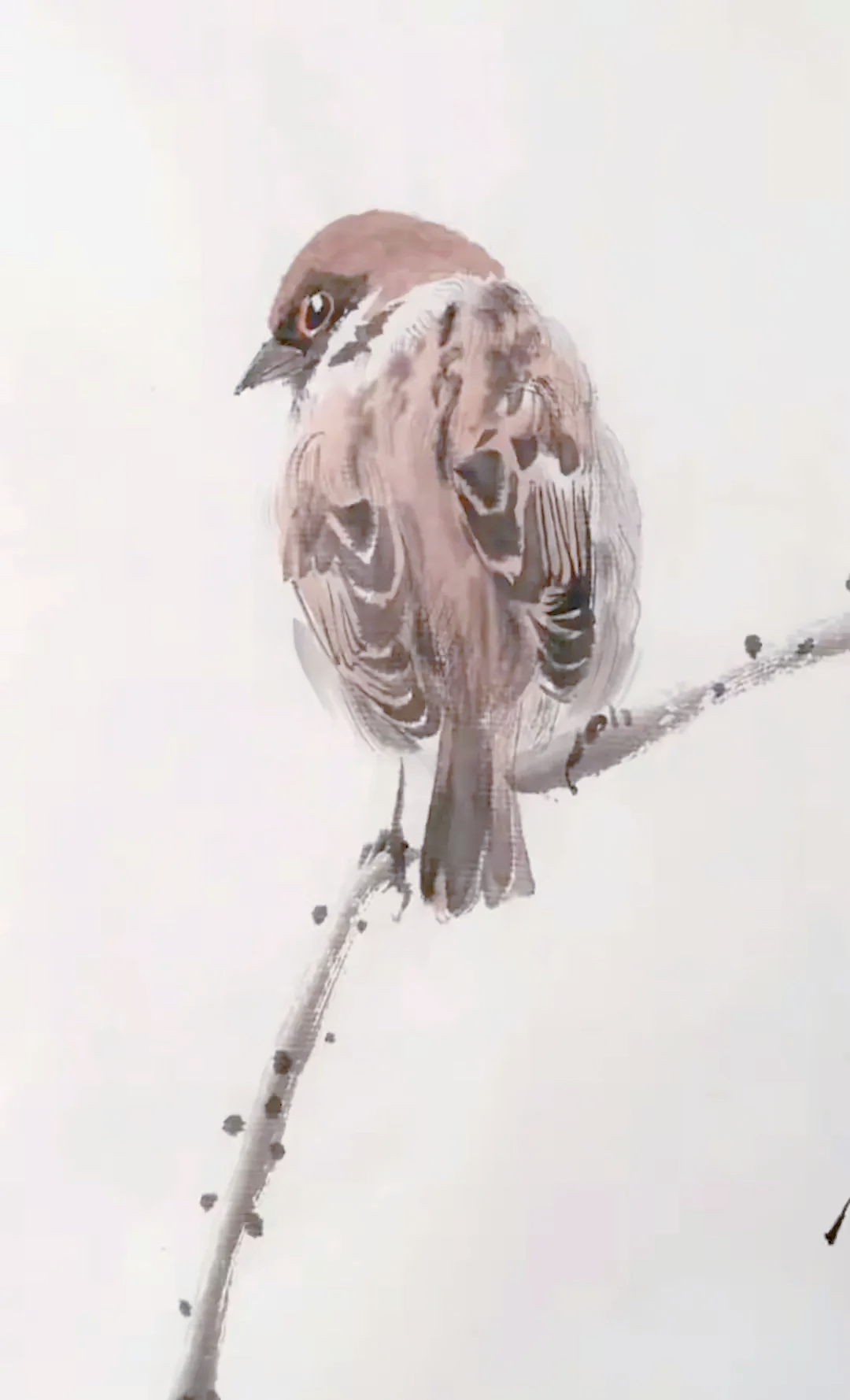 安立鲲的麻雀画,生动传神,细节入微