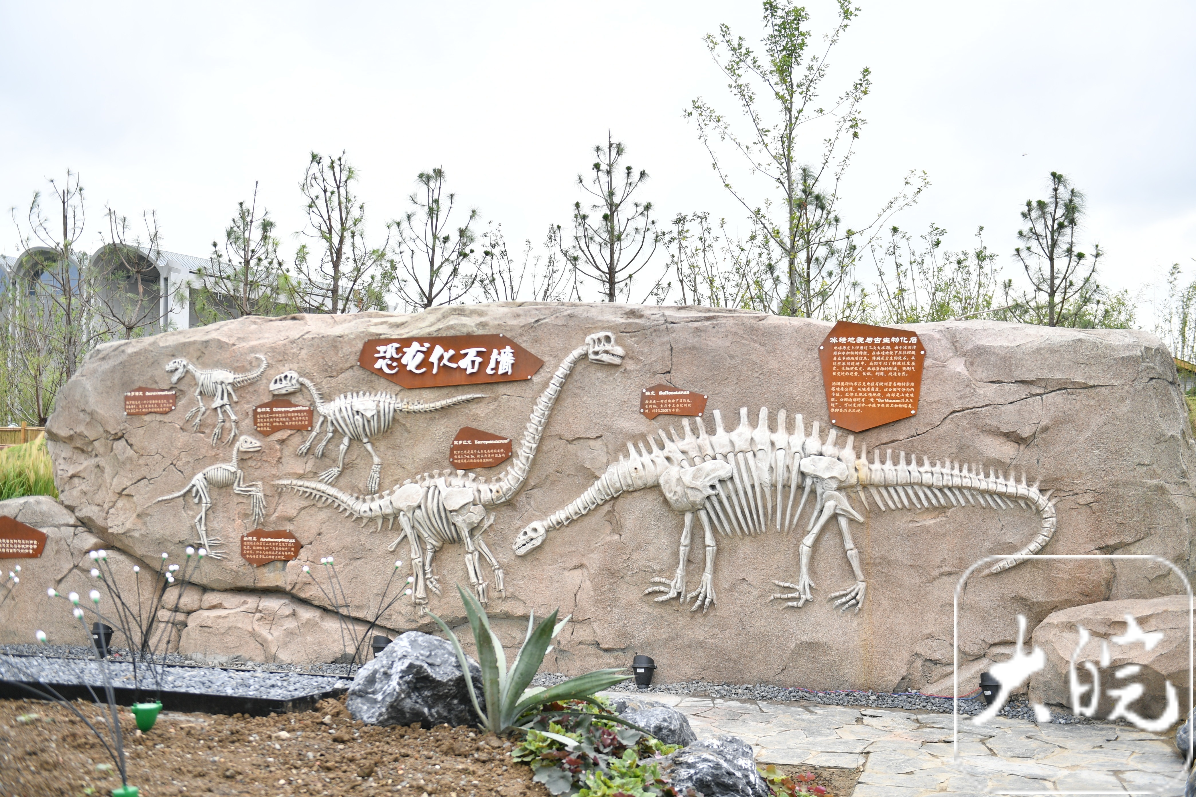 合肥园博园:浓浓"国际范" 深深"友城情"