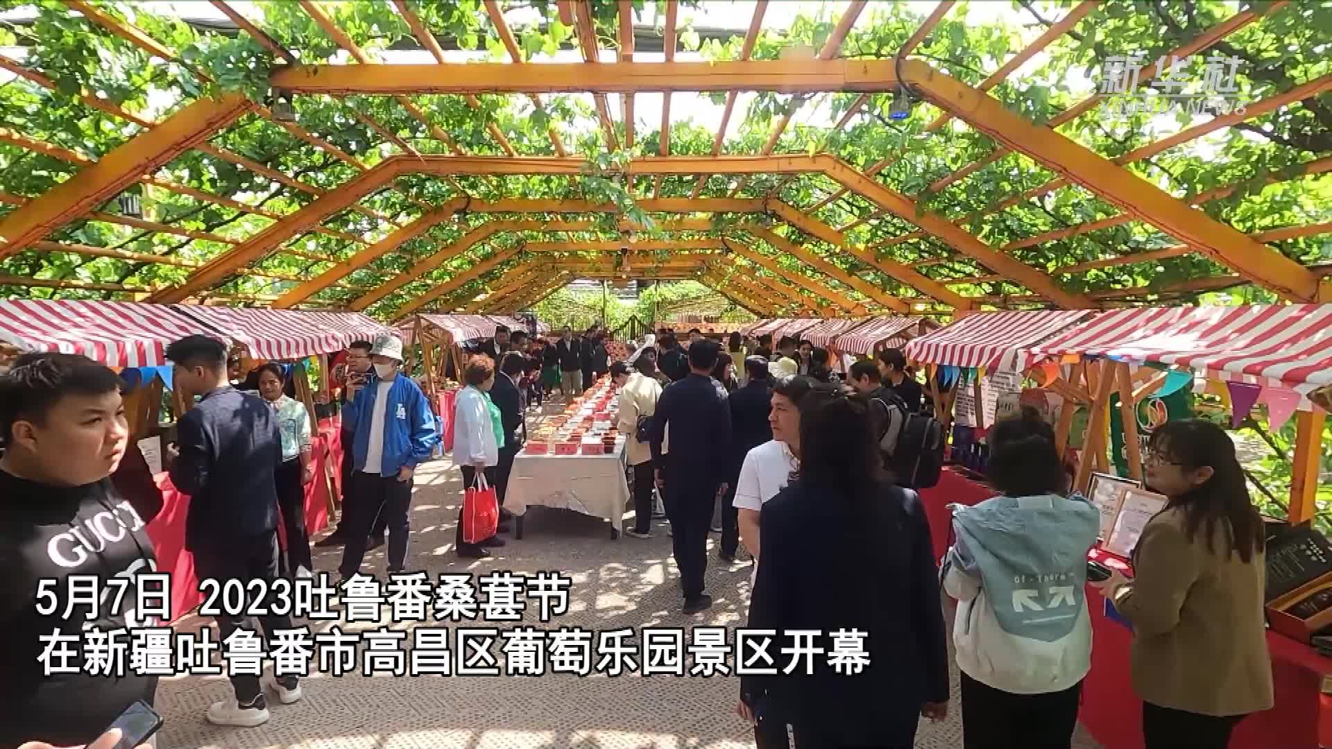 夏津桑葚节2021图片