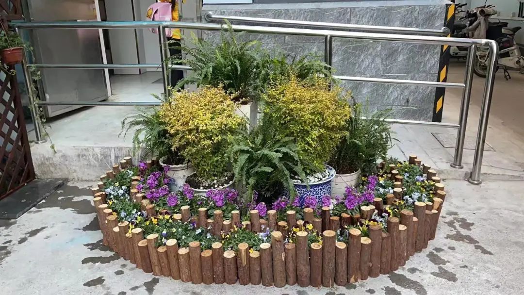 微更新提升幸福感,居民收获"家门口"的小花园