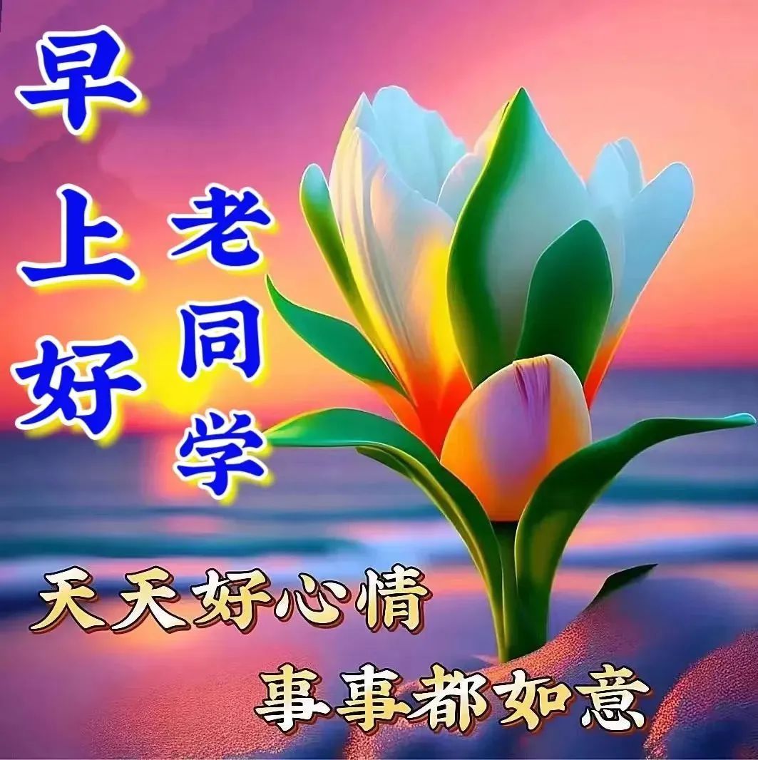 2023年7月28日周五早上好,早安祝福语图片
