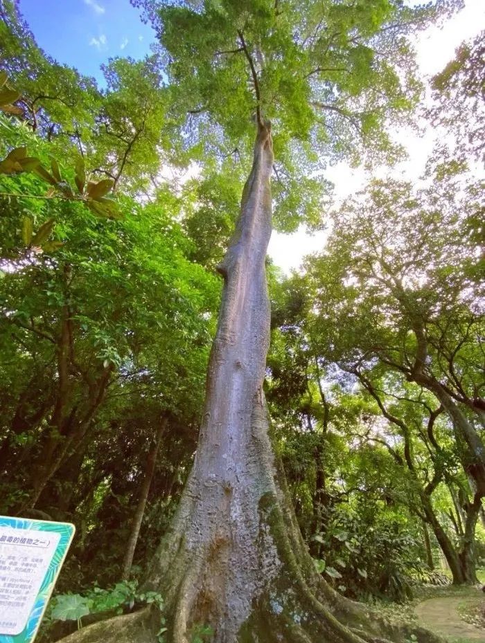 看儋州2024群星演唱会这些宝藏景点可别错过