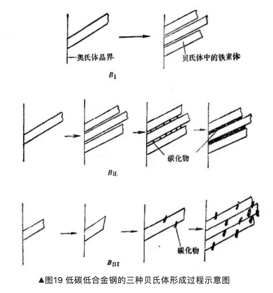 贝氏体结构图片