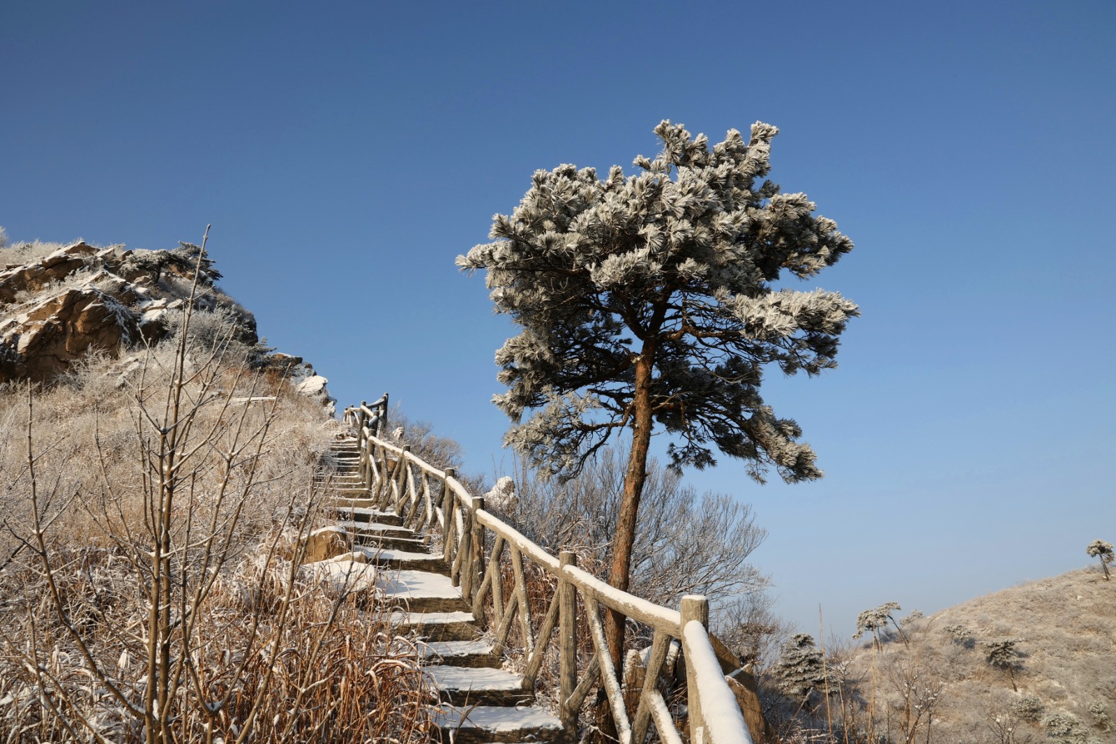 高清多图!这里有一份五莲大青山雾凇超美靓照