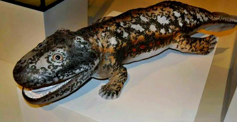 海纳螈:从海洋到陆地的进化之路