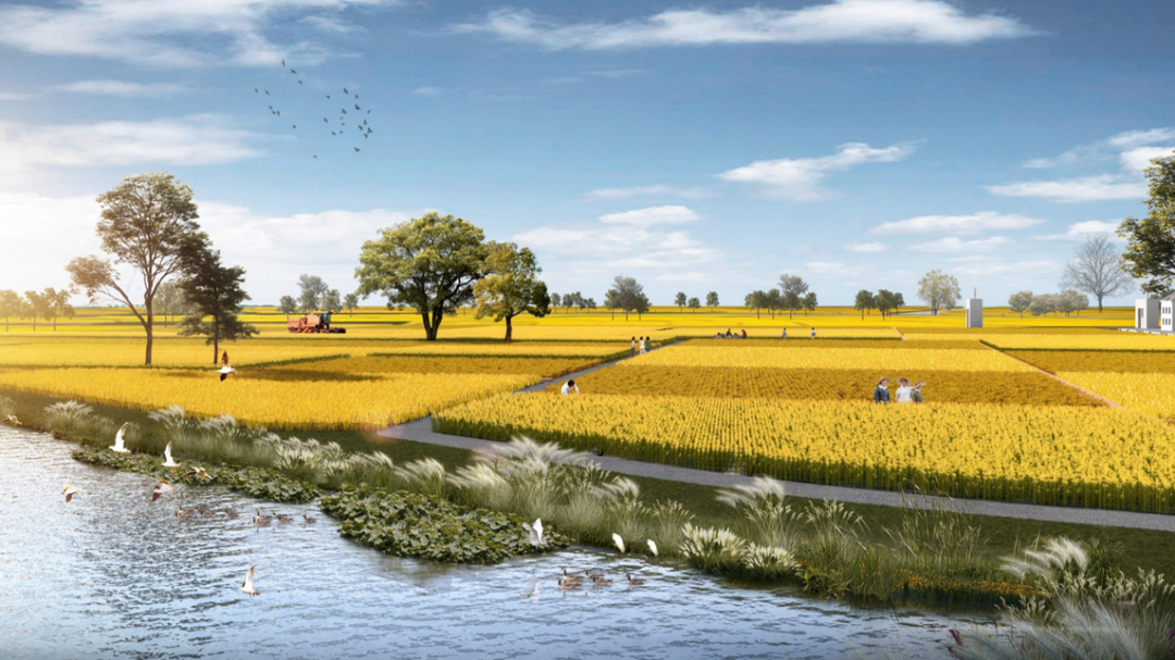 江南圩田——一体化核心区域的原乡画卷!