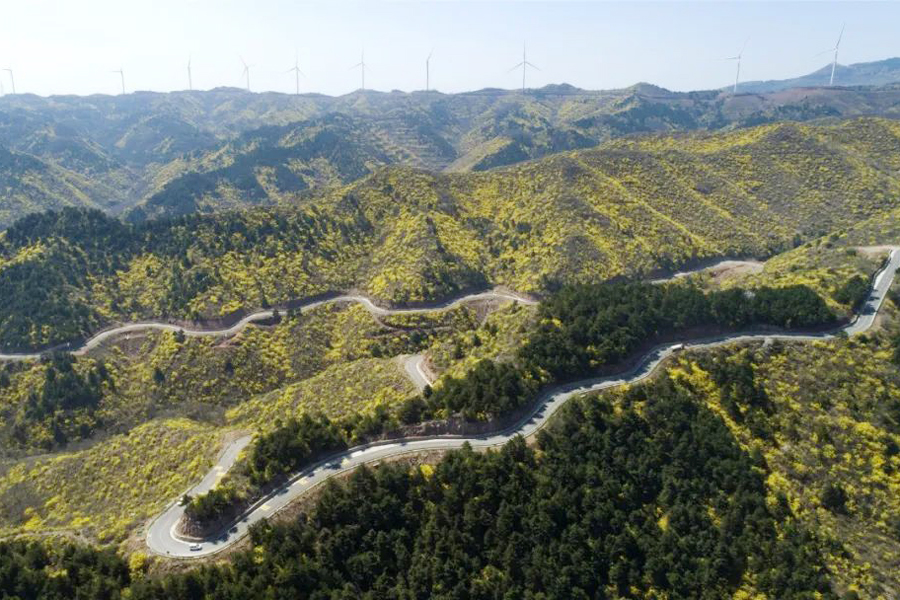 长子发鸠山图片美景图片