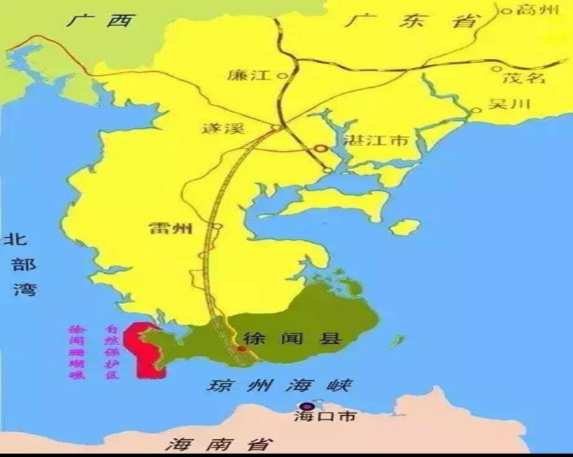 带你走进徐闻菠萝