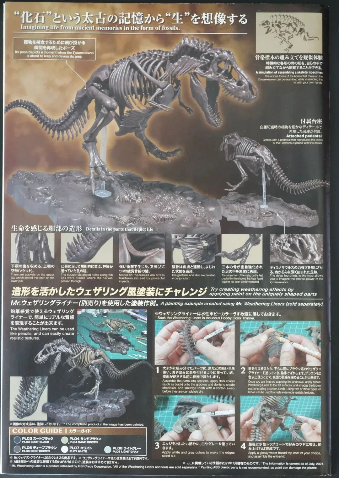 画龙画骨~万代塑料拼装恐龙骨骼化石模型