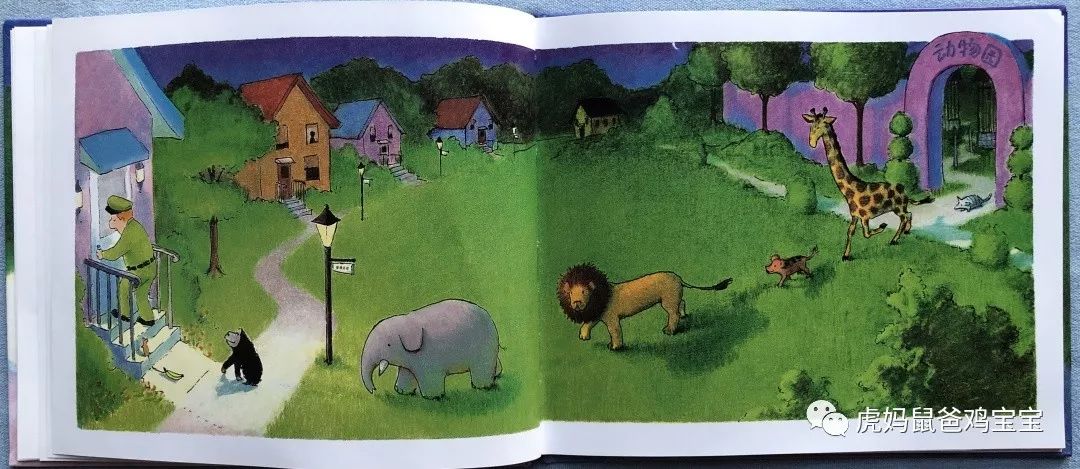 绘本|《晚安,大猩猩》,细节超多的低幼图画书