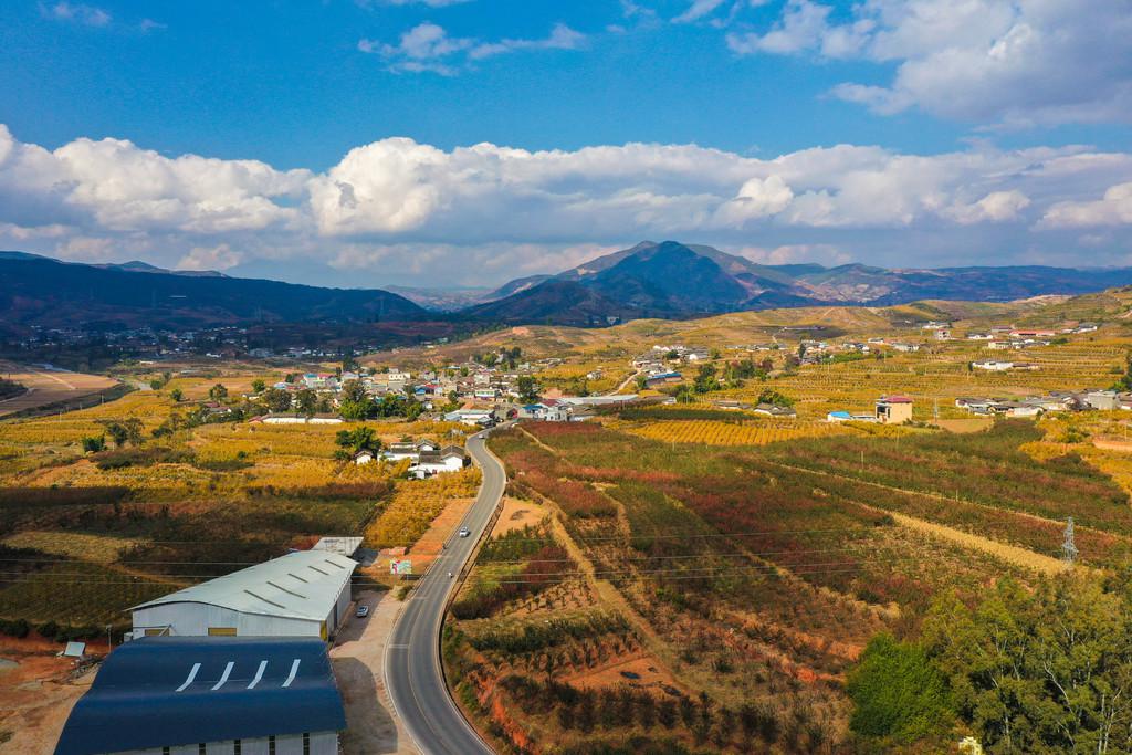 "中国石榴之乡"会理:冬日的阳光下的金色榴林