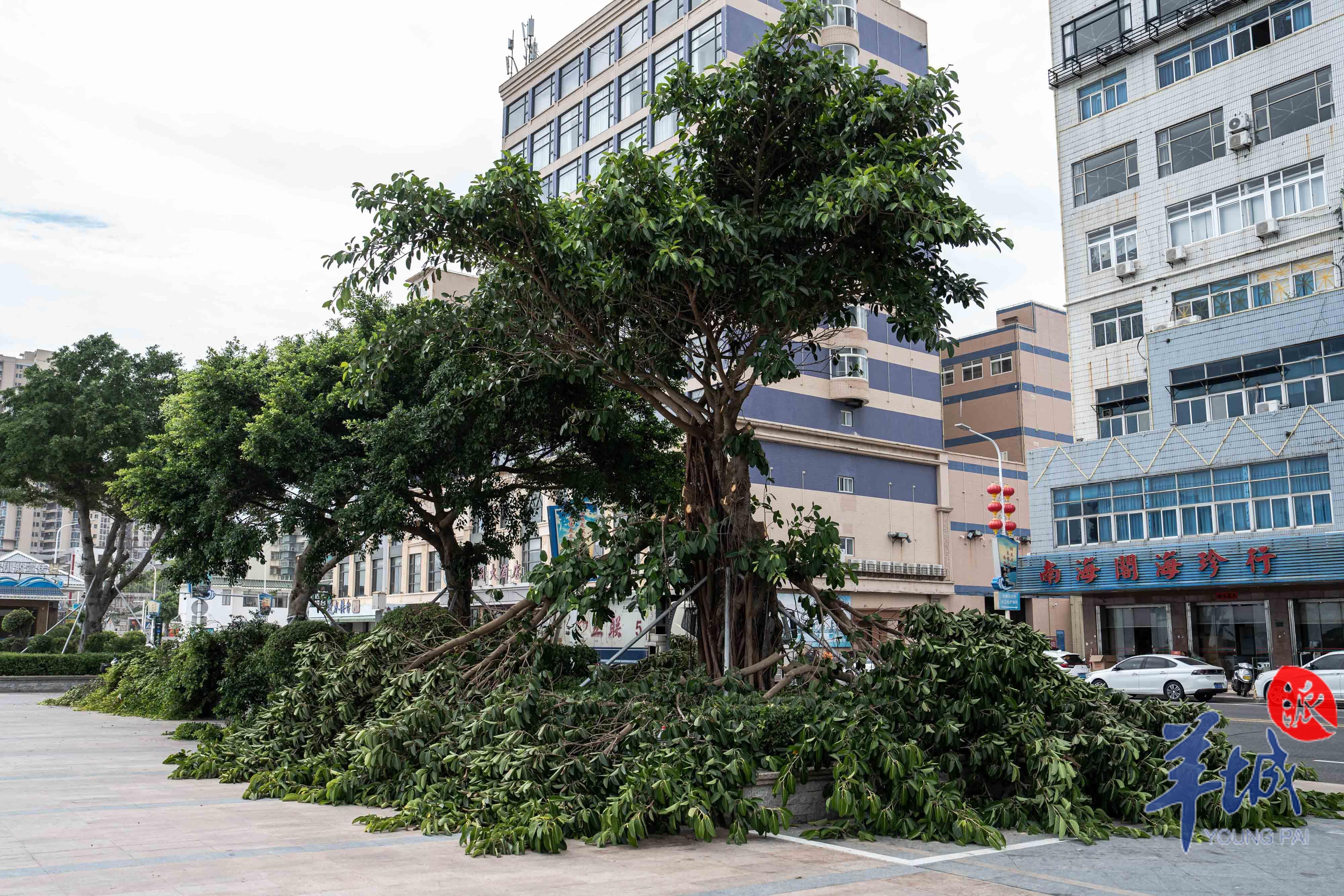 视频 图集|超强台风"杜苏芮"逼近,汕头南澳积极防御