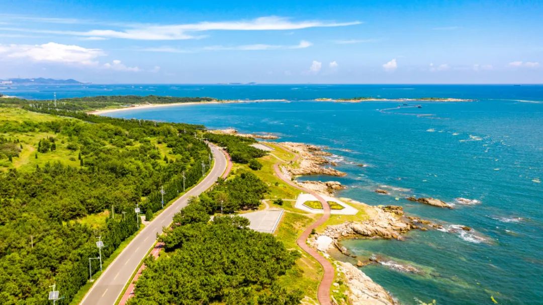 青岛·民宿|「鱼鸣嘴民宿·向海咖啡」来有海边花海之称的连三岛路