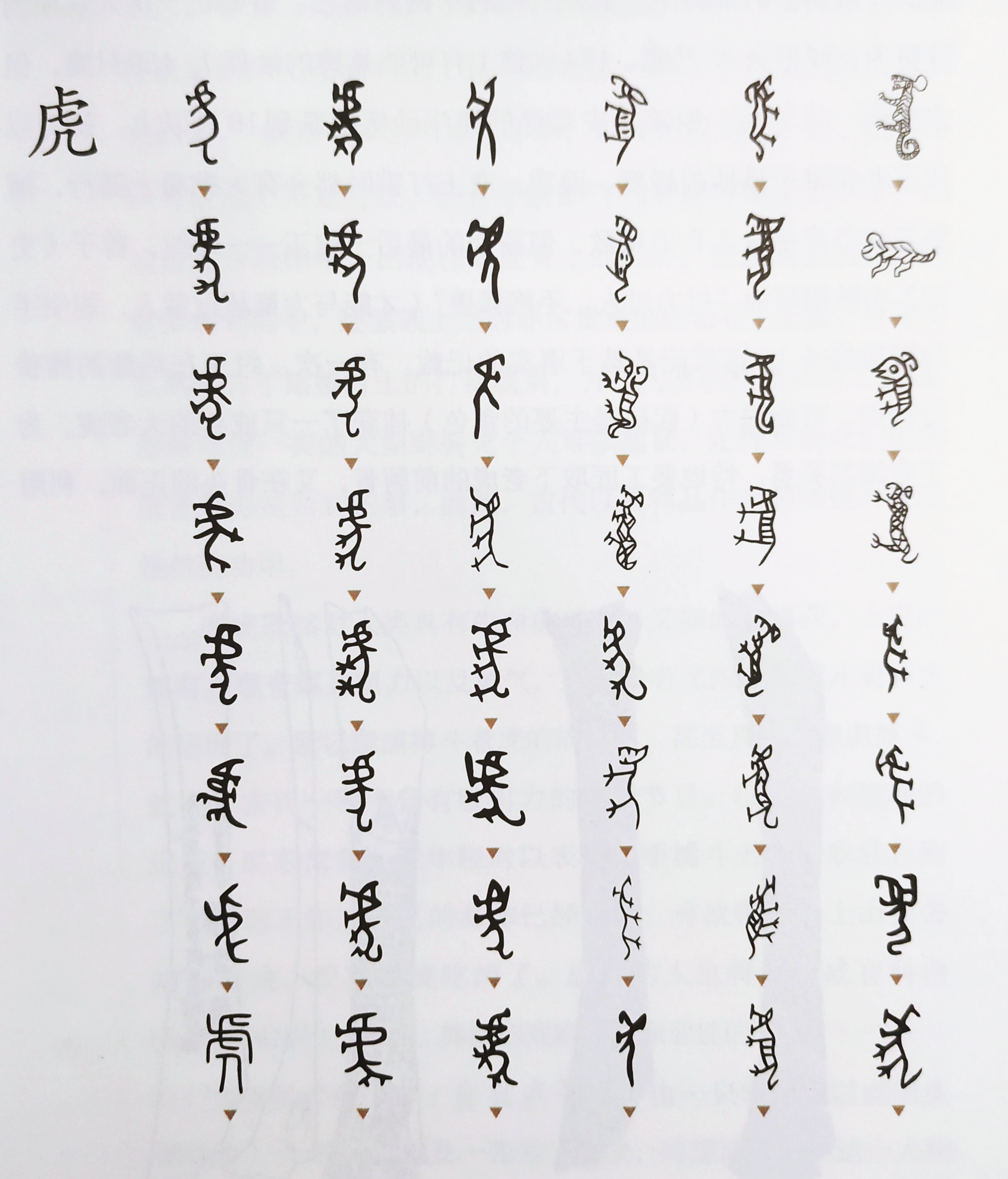 从甲骨文开始,汉字一直在不断地演变