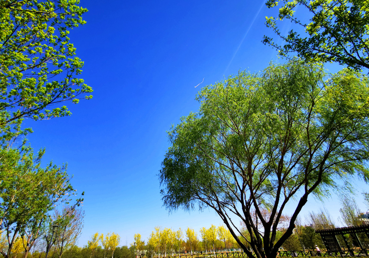 丰台百姓家门口的公园——白盆窑休闲公园