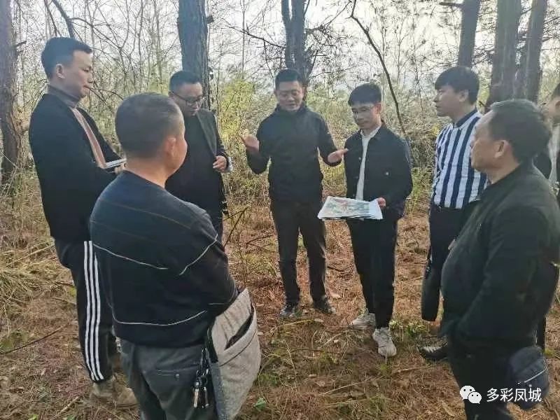 成都华侨城黄龙溪投发公司总经理曾飘一行到凤城调研