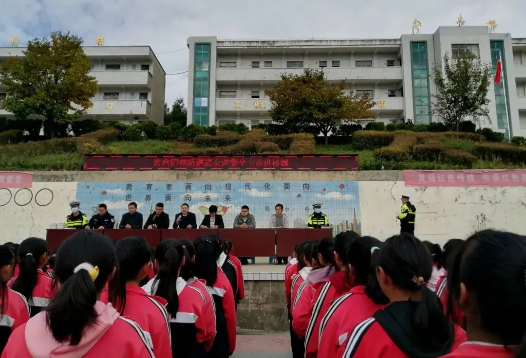 盐仓镇开展道路交通安全宣传进校园