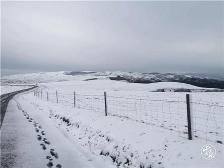 昭通大山包和馬楠山下雪啦,雪景美如畫